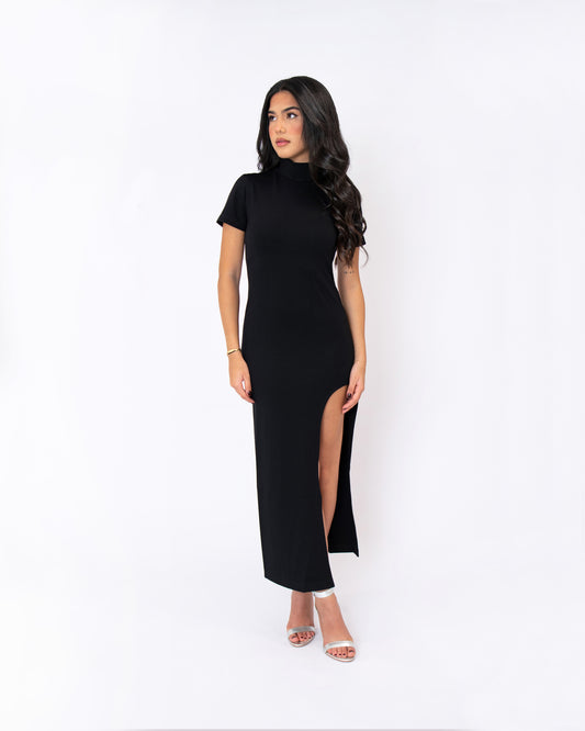 Turtle neck short sleeve long dress